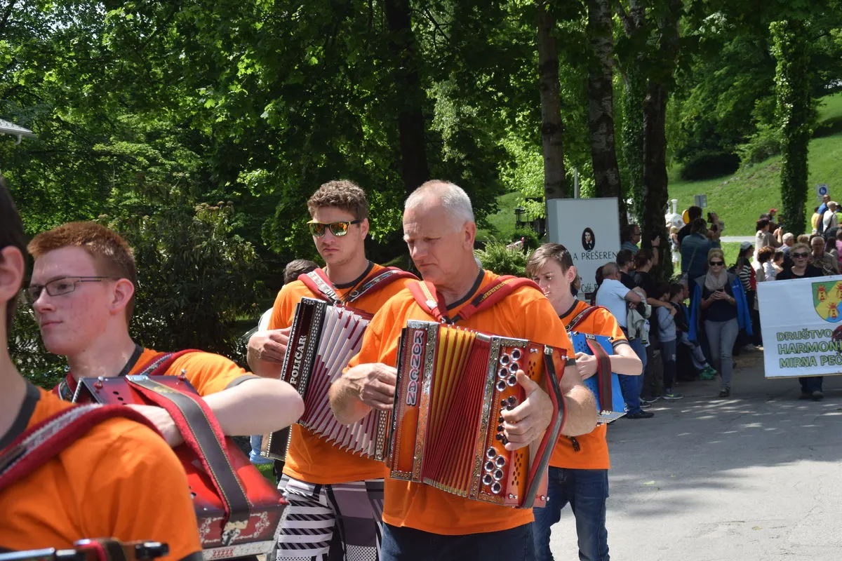 Bled — fotografija z nastopa